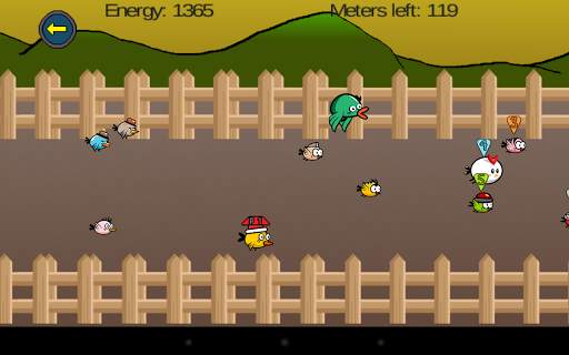 Bird Race स्क्रीनशॉट 11