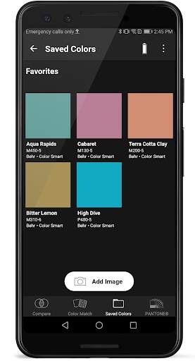 Color Muse 6 تصوير الشاشة