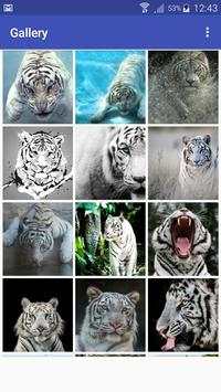 New Beautiful White Tiger Wallpapers screenshot 2