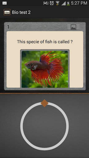 Flashcards Maker screenshot 2