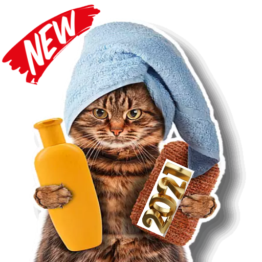 New Funny Cat Stickers For WhatsApp WAStickerApps icon