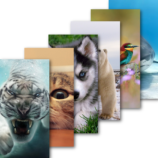Animal Wallpaper icon