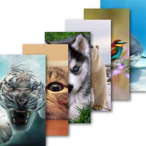 Animal Wallpaper 1.3