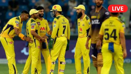 Live Cricket Matches & Score screenshot 4
