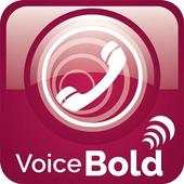 Voice Bold 2.1