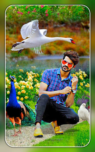 Bird photo editor birds photo frame screenshot 5
