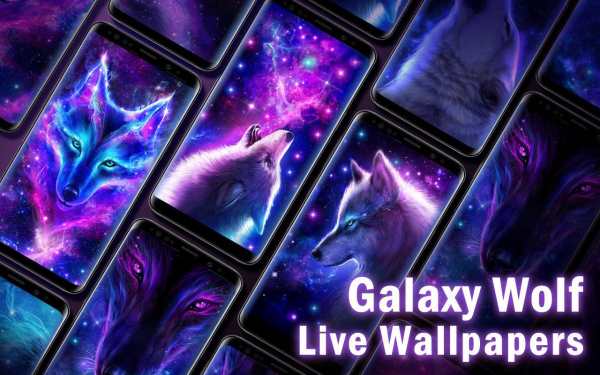 Galaxy Wolf Theme screenshot 4