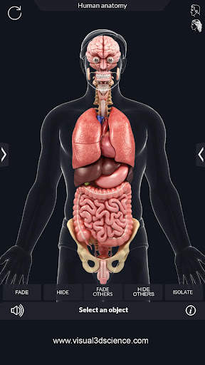 My Organs Anatomy screenshot 6