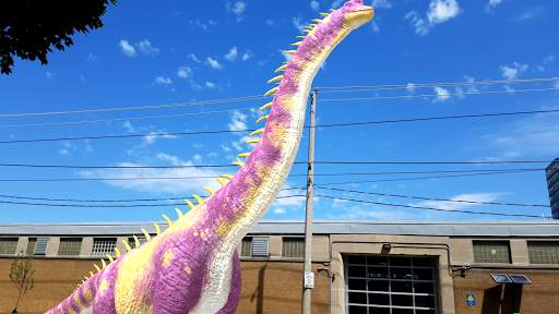 Dino Dan - Dino Cam screenshot 5