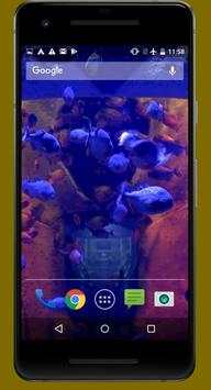 Piranha Live Video Wallpapers screenshot 2