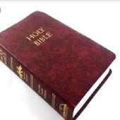 Bible-New King James Bible(Simple English) logo
