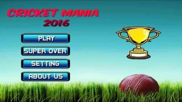Cricket Mania 2017 screenshot 1