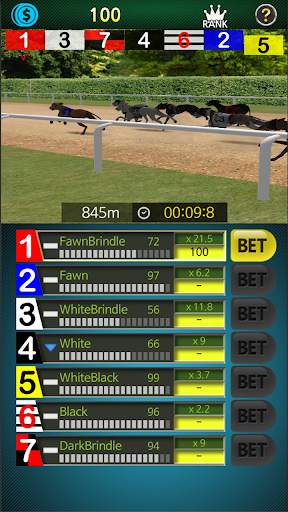 Pick Dog Racing screenshot 3