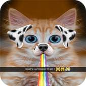 Camera snappy Cats 4.2