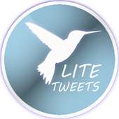 Fast lite for twitter logo