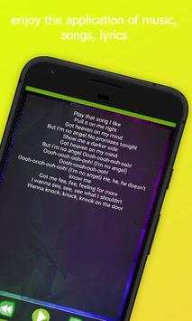 All Lyrics Songs Of Ava Max screenshot 5