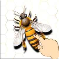 Bee Smash Game icon
