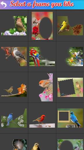 Bird Frame Collage screenshot 4