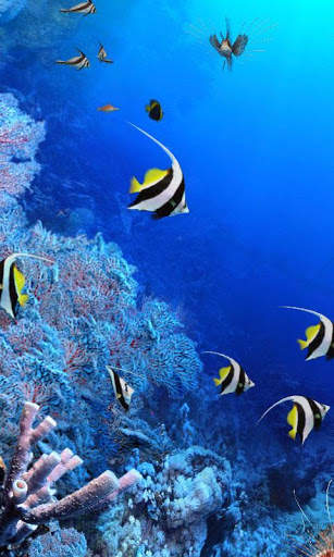 Aquarium Live Wallpapers screenshot 5