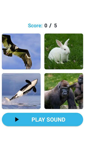 Animal Sounds Learn With Game screenshot 7