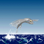 flying fish Live Wallpaper icon