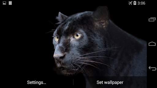 Pantera Live Wallpaper FREE screenshot 4