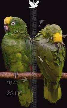 Birds Zipper Lock Screen screenshot 11