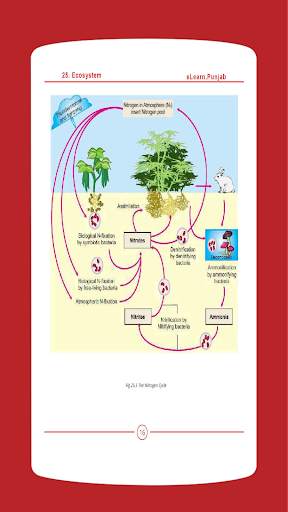 Biology 12 Punjab Textbook (Offline) screenshot 6