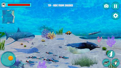 Arctic Penguin Bird Simulator screenshot 3