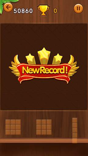 new Wood Block Puzzle screenshot 3