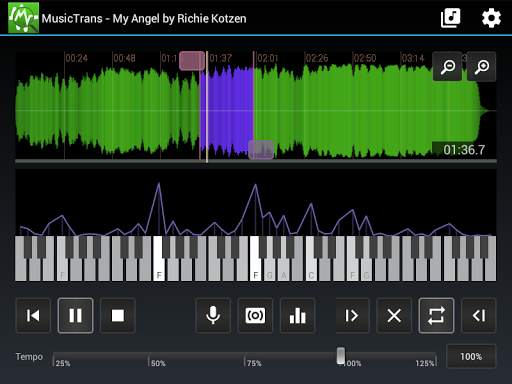 MusicTrans tool for musicians screenshot 8
