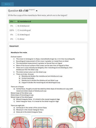 ADAT Exam Preparation screenshot 12