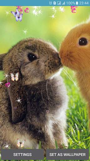 Rabbit Live Wallpaper screenshot 6
