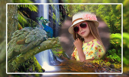 Peacock Photo Frames screenshot 3