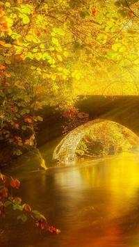 Beautiful Trees Wallpapers screenshot 2
