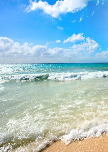 Nature Video Live Wallpaper screenshot 4