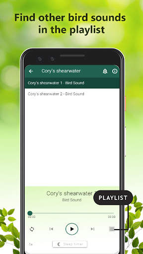 Bird Calls Sounds screenshot 4