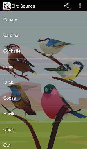 Bird Sounds स्क्रीनशॉट 1