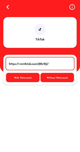 All in One Video Downloader screenshot 2