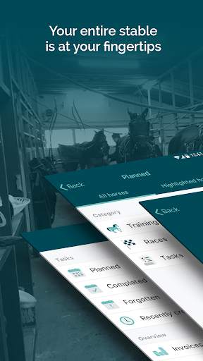 Mosson Stable screenshot 1