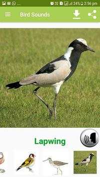 Bird Sound & Pictures screenshot 2