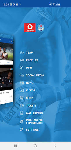 Blue Bulls скриншот 3