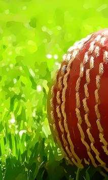 Free Cricket Games screenshot 2