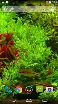 Real Aquarium Wallpaper screenshot 4