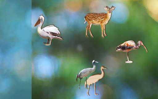 Puzzle Game for Kids Animals and Birds, Full Game screenshot 7