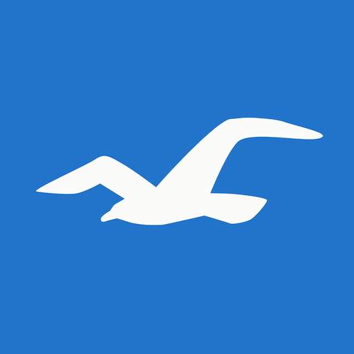 Hollister Co. 10.15.0