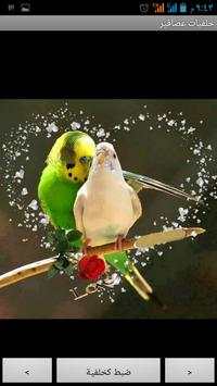 Birds Wallpapers HD Cards screenshot 2