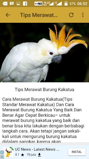 Suara Burung Kakatua Offline screenshot 4