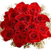 beautiful flowers 6.2