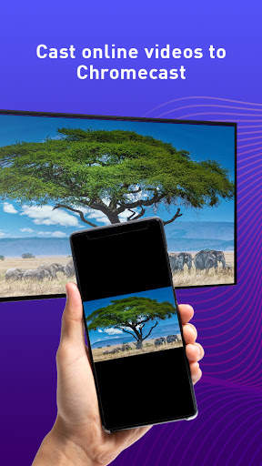 Screen Mirroring, Cast TV for Chromecast screenshot 3